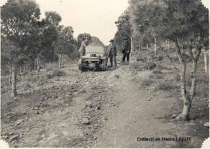 Oran- SDV- 0594